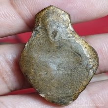 เศียรฤาษี