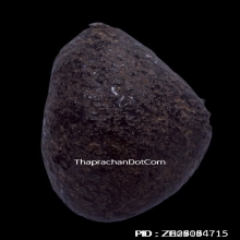เบี้ยแก้ หลวงปู่รอด วัดนายโรง