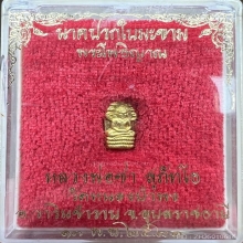 ปรกทองคำ ลพ.ชา วัดหนองป่าพง