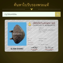 เบี้ยแก้ หลวงปู่เพิ่ม วัดกลางบางแก้ว สวยแชมป์
