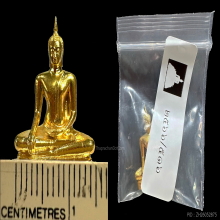 รูปหล่อพระพุทธมหาสุวรรณปฏิมากรวัดไตรมิตรฯ ปี 2566