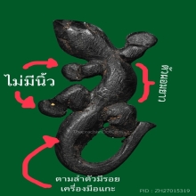 จิ้งจกหลวงปู่หน่าย ยุคต้น