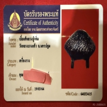 เบี้ยแก้หลวงปู่เพิ่ม วัดกลางบางแก้ว