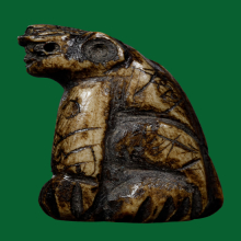 เสือเขากว้างแกะ