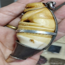 เขียวหมีแกะเสือ