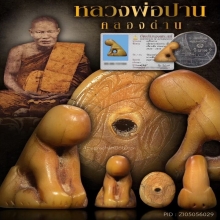 “เสือสาริกาตัวจริงเสียงจริง”หลวงพ่อปาน คลองด่าน