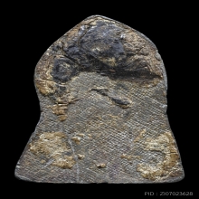 พระพุทธชินราชใบเสมา กรุวัดพระศรีฯ พิมพ์กลาง (หูขีด)