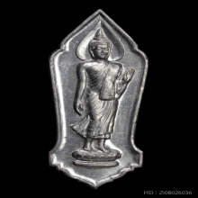+บัตรสมาคม พระลีลา 25 ศตวรรษ เนื้อชิน