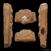 *** THE LEGENDARY ***