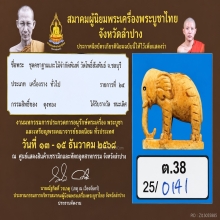 ช้าง หลวงปู่ทิม ปี18