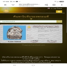พระกำแพงปรกลูกยอ กรุวัดมหาธาตุ เนื้อดิน สวยแชมป์