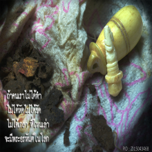 พระสีวลี อาจารย์ฝั้น อาจาโร พร้อมสิ่งมงคล