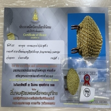 ติดที่1สมาคม เบี้ยแก้ถักดิ้นทอง หลวงปู่เจือ วัดกลางบางแก้ว