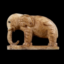ช้าง หลวงปู่ทิม ปี18