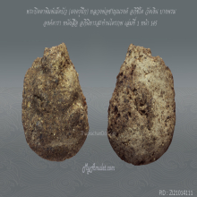 พระปิดตาน้ำตาล ผงครูฝึก หลวงพ่อชาญณรงค์ อภิชิโต องค์ดารา