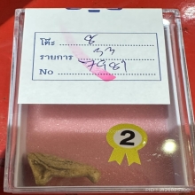 นกสาริกา หลวงพ่อสนิท วัดลำบัวลอย  นครนายก แชมป์