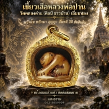 เสือหลวงพ่อปาน วัดคลองด่าน (ศิลป์ชาวบ้าน) เลี่ยมทอง