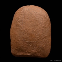 พระคง ลำพูน