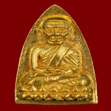 เตารีดพิมพ์ใหญ่ เนื้อทองคำ สร้างโรงพยาบาลโคกโพธิ์