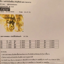 เหรียญหัวแหวน หลังแบบ ปี 06 หลวงปู่ทวด วัดช้างให้ เนื้อทองคำ