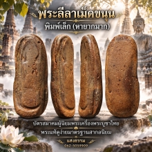 พระลีลาเม็ดขนุน พิมพ์เล็ก (หายากมาก) พร้อมบัตรสมาคม