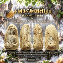 พระวัดพลับ พิมพ์พุงป่องเล็ก พร้อมบัตรสมาคม 