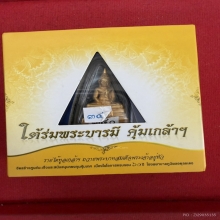 เนื้อทองคำ หลวงพ่อโสธร