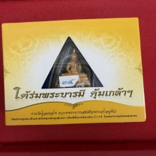 เนื้อทองคำ หลวงพ่อโสธร
