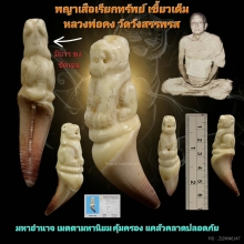 เสือเขี้ยวเต็ม หลวงพ่อคงวัดวังสรรพรสยุคต้น จี๊ดๆเลยครับ
