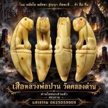 เสือหลวงพ่อปาน วัดคลองด่าน (เต็มเขี้ยว)