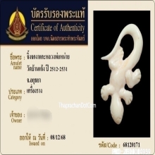 จิ้งจกหลวงพ่อหน่าย วัดบ้านแจ้ง