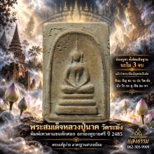 หลวงปู่นาค วัดระฆัง พิมพ์เทวดาแขนหักศอก อกร่องหูบายศรี ปี 85