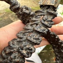 ประคตเอวหลวงปู่ยิ้ม วัดหนองบัว จ.กาญจนบุรี