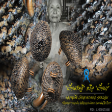 “เบี้ยแก้” หลวงปู่เพิ่ม วัดกลางบางแก้ว จ.นครปฐม