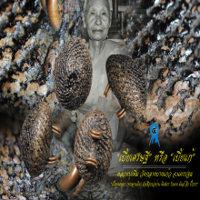 “เบี้ยแก้” หลวงปู่เพิ่ม วัดกลางบางแก้ว จ.นครปฐม