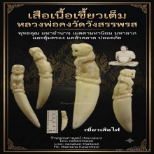 เสือเขี้ยวเต็ม(เสือไฟ) หลวงพ่อคงวัดวังสรรพรสยุคต้น 