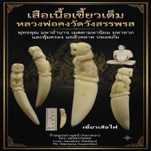 เสือเขี้ยวเต็ม(เสือไฟ) หลวงพ่อคงวัดวังสรรพรสยุคต้น 