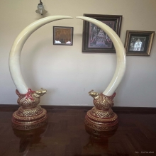 งาคู่บารมี