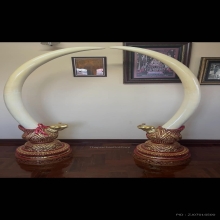งาคู่บารมี