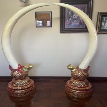 งาคู่บารมี