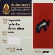 วัวธนูหลวงปู่สังข์ วัดนากันตม จ.ศรีษะเกษ