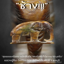 “ช้าง” หลวงปู่ทิม อิสริโก ออกวัดโพธิ์สัมพันธ์ จ.ชลบุรี