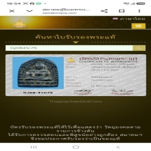 เหรียญหล่อเจ้าสัวน้อย เจ้าคุณโพธิ์วัดชัยพฤกษมาลา เนื้อดำนิยม