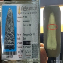 หลวงปู่ทวด เนื้อว่าน 97 กลางลึก(นิยม)