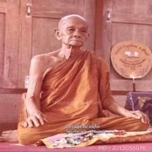 เหรียญช้างหมอบ ปี 2521 หลวงปู่ดุลย์