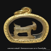 #ดารา+ประวัติ# แพะหลวงพ่ออ่ำ วัดหนองกะบอก 