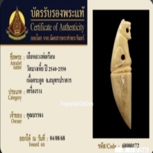 เสือกระดูกแกะหลวงพ่อเรือน วัดบางเหี้ย จ.สมุทรปราการ