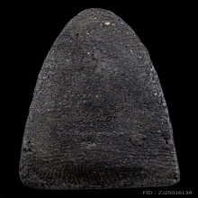 หลวงปู่ทวดวัดช้างให้ (เนื้อว่านพิมพ์ใหญ่ พ.ศ.2524)