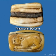 เสือ หลวงพ่อแตง วัดอ่างศิลา 
